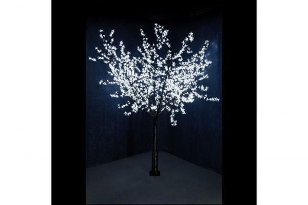 Изображение загружено из каталога картинок. //***VAD***//